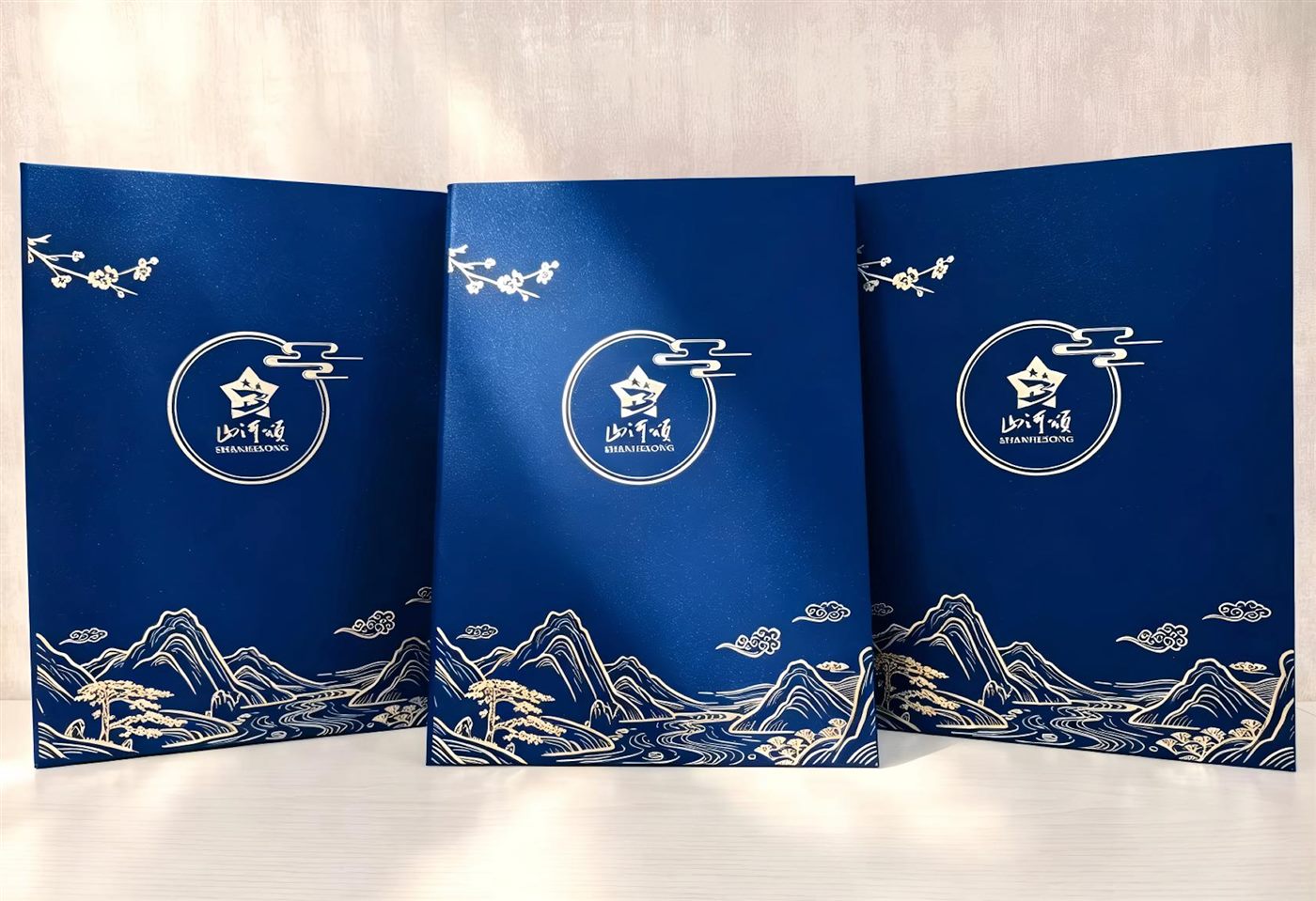 山河颂省选与国选荣誉证书封套
